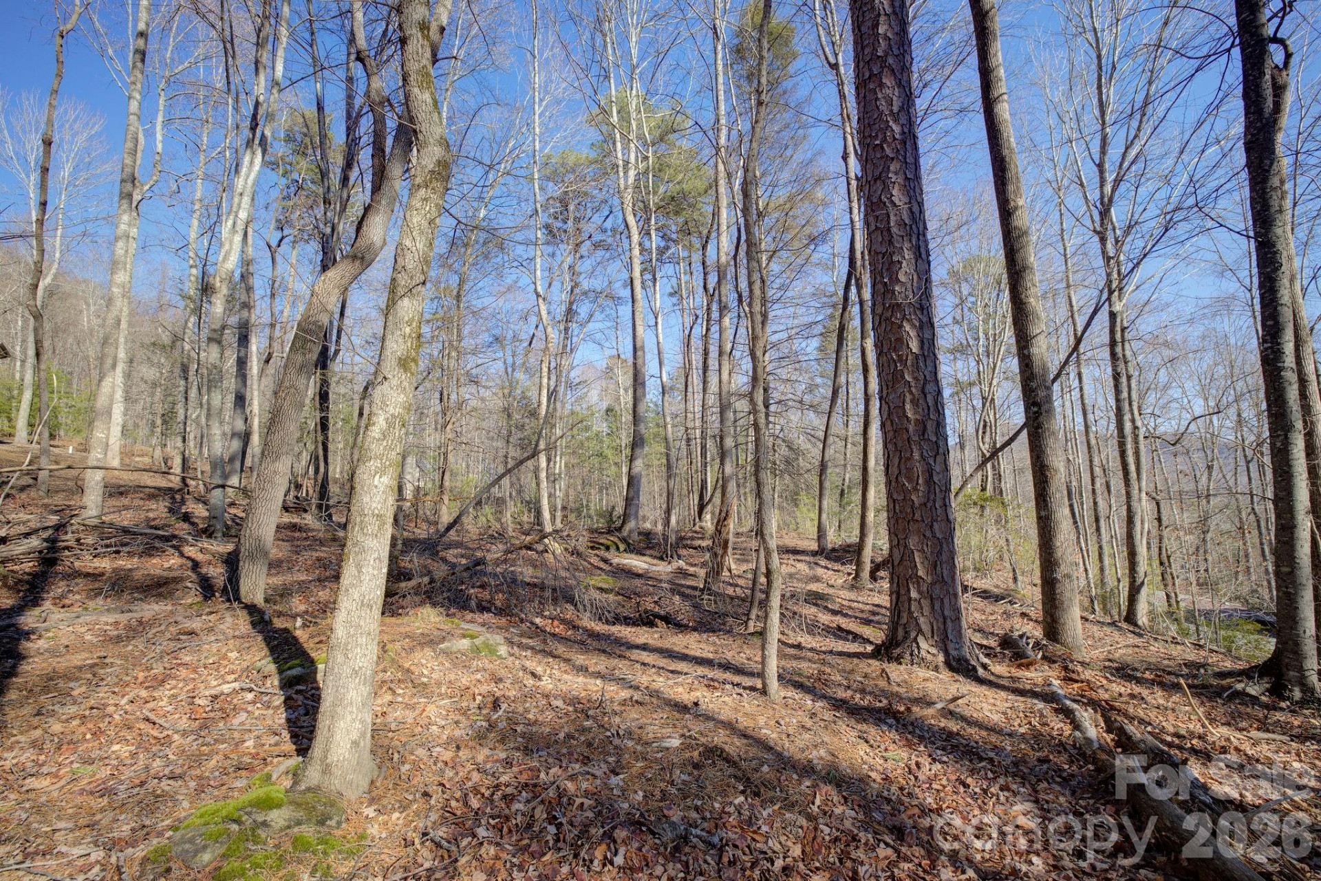 004 High Road Court #4 - Photo 5