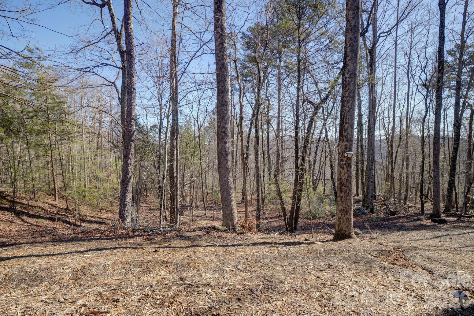 004 High Road Court #4 - Photo 6