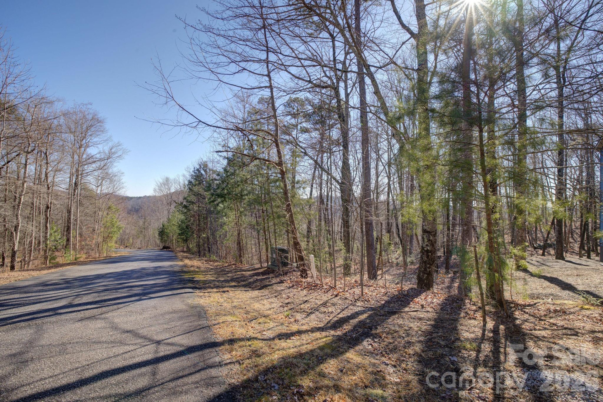 004 High Road Court #4 - Photo 7