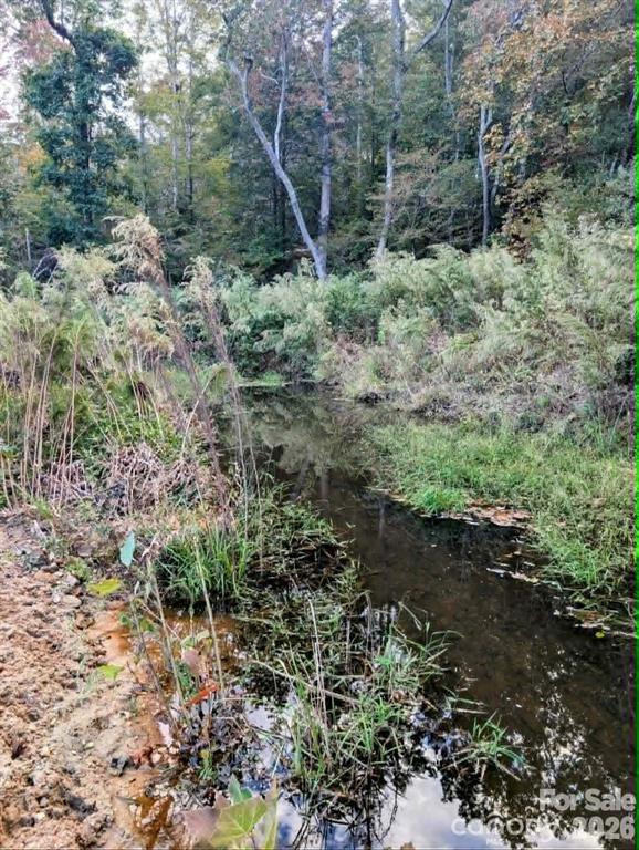 12 Acres County Line Road - Photo 2