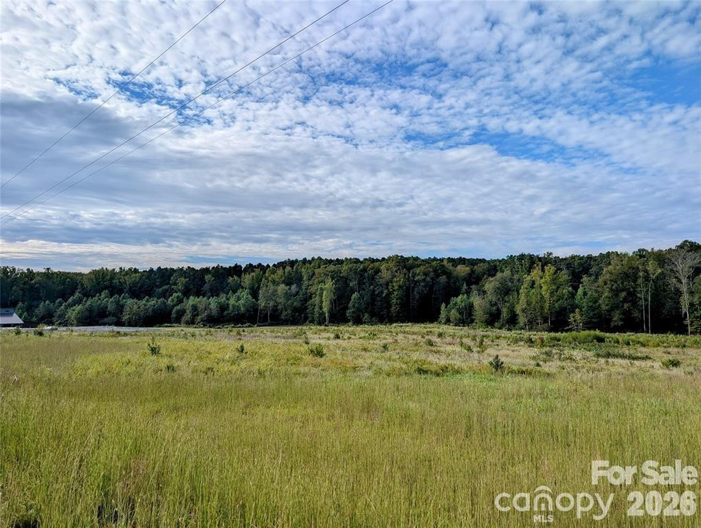 12 Acres County Line Road - Photo 4