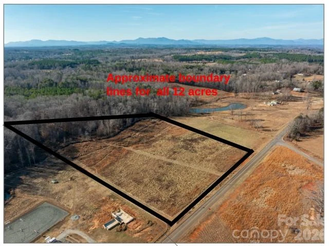 12 Acres County Line Road - Photo 5