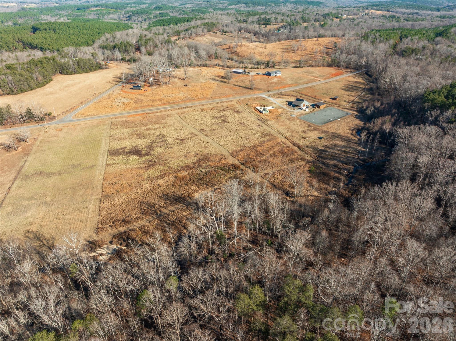 12 Acres County Line Road - Photo 7