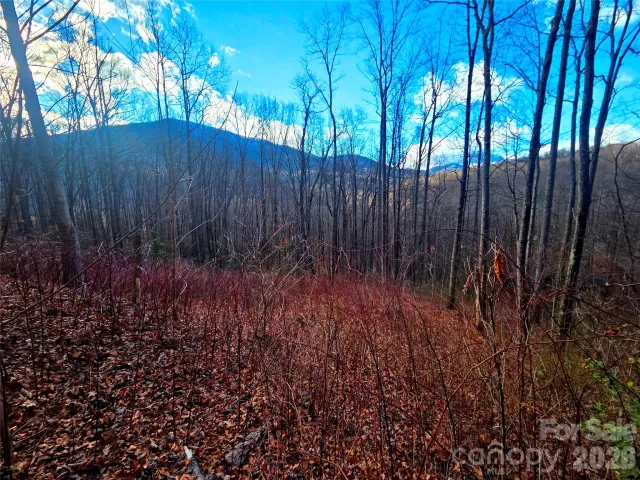 900 Fern Trail