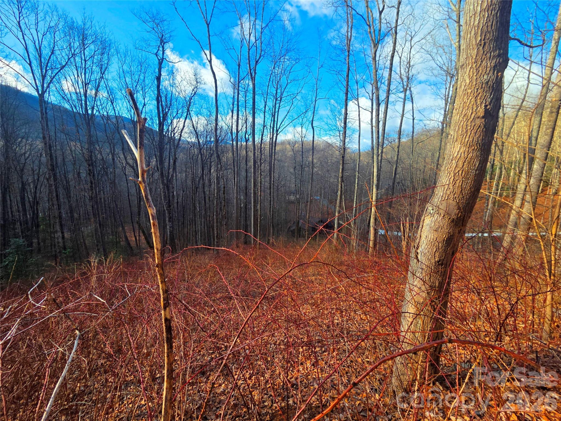 900 Fern Trail #31 - Photo 2