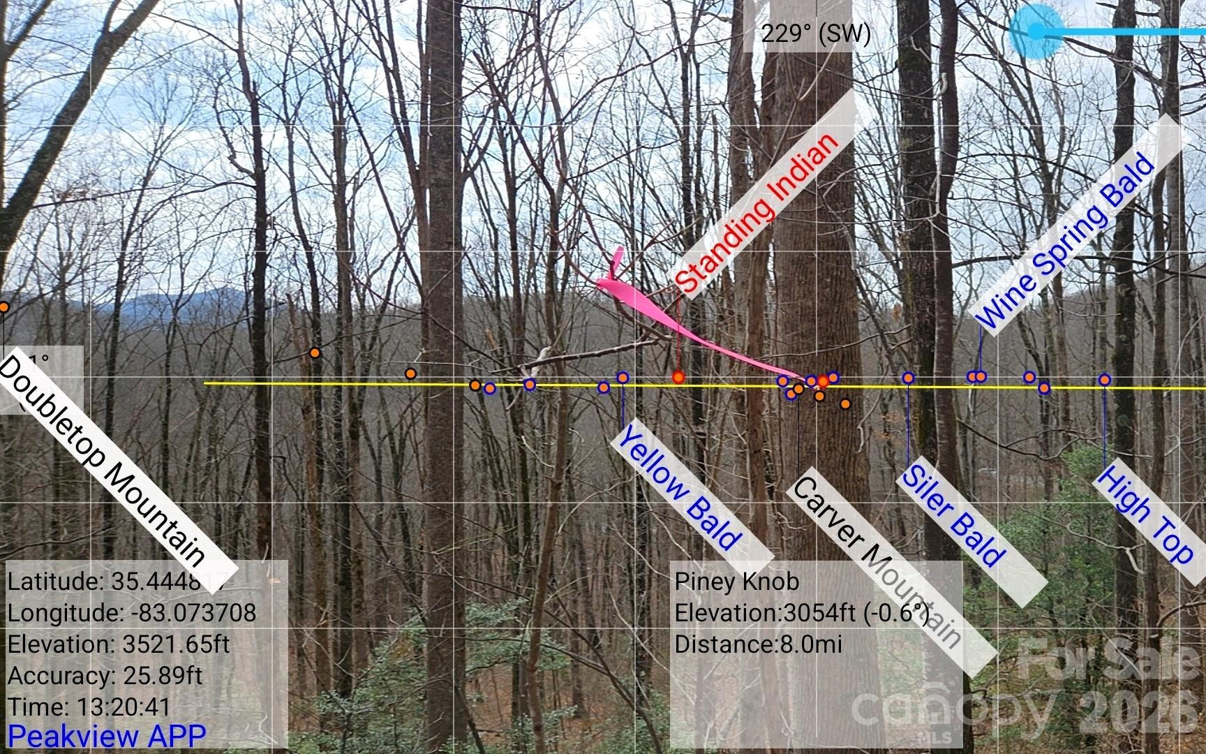 900 Fern Trail #31 - Photo 11