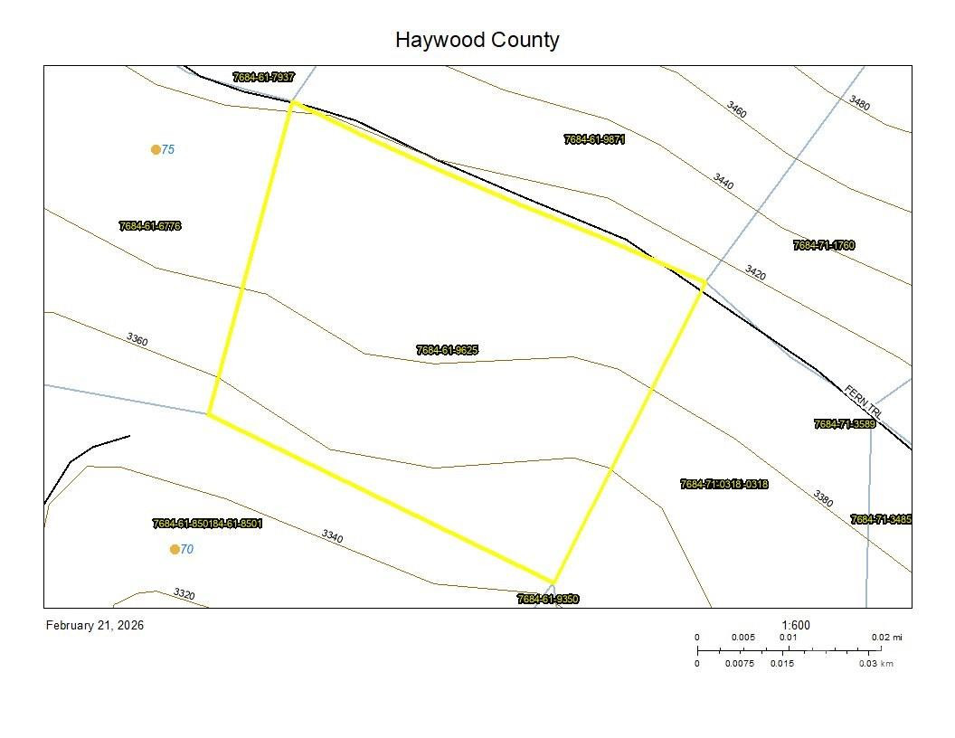 900 Fern Trail #31 - Photo 12