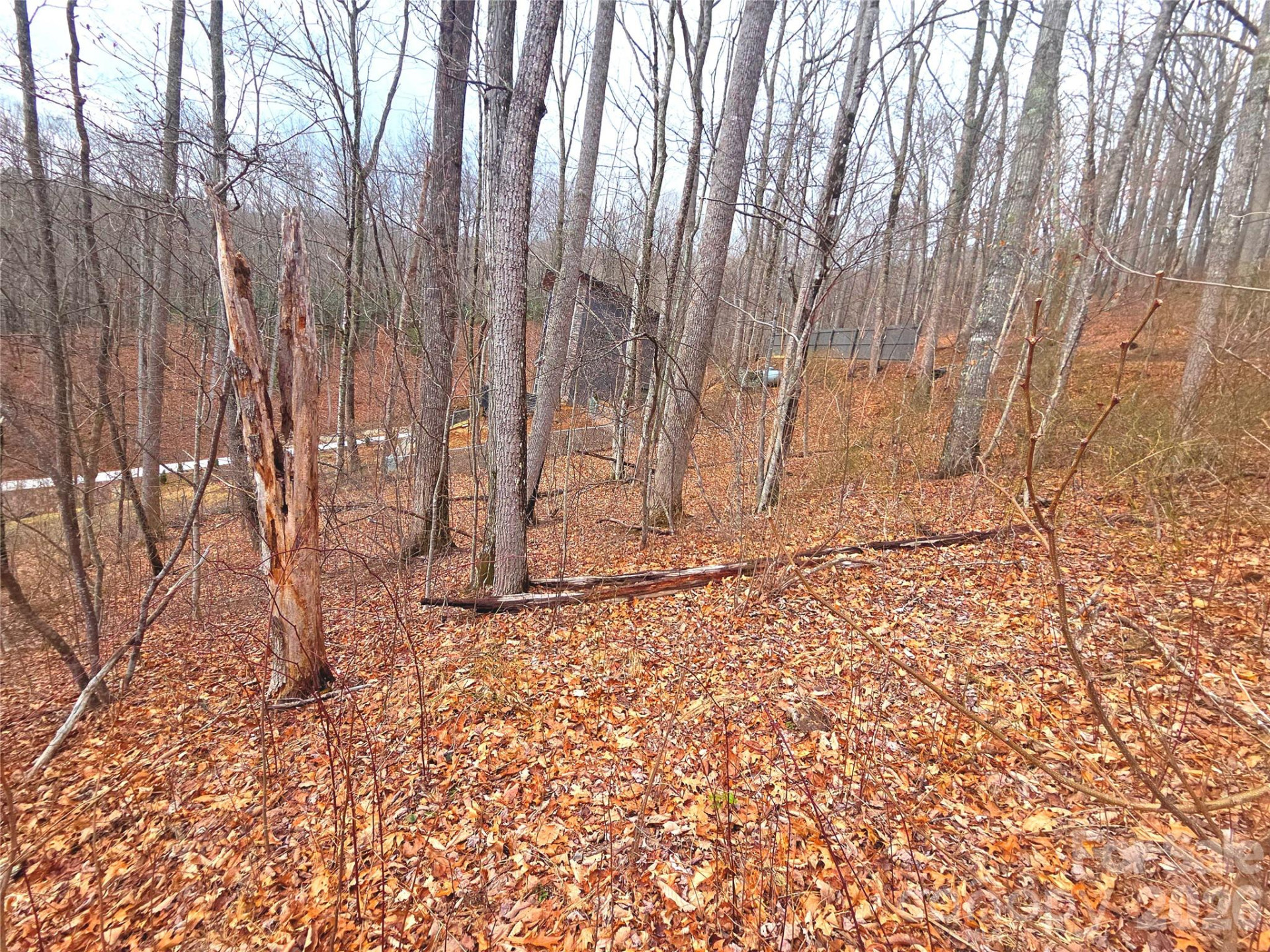 900 Fern Trail #31 - Photo 14