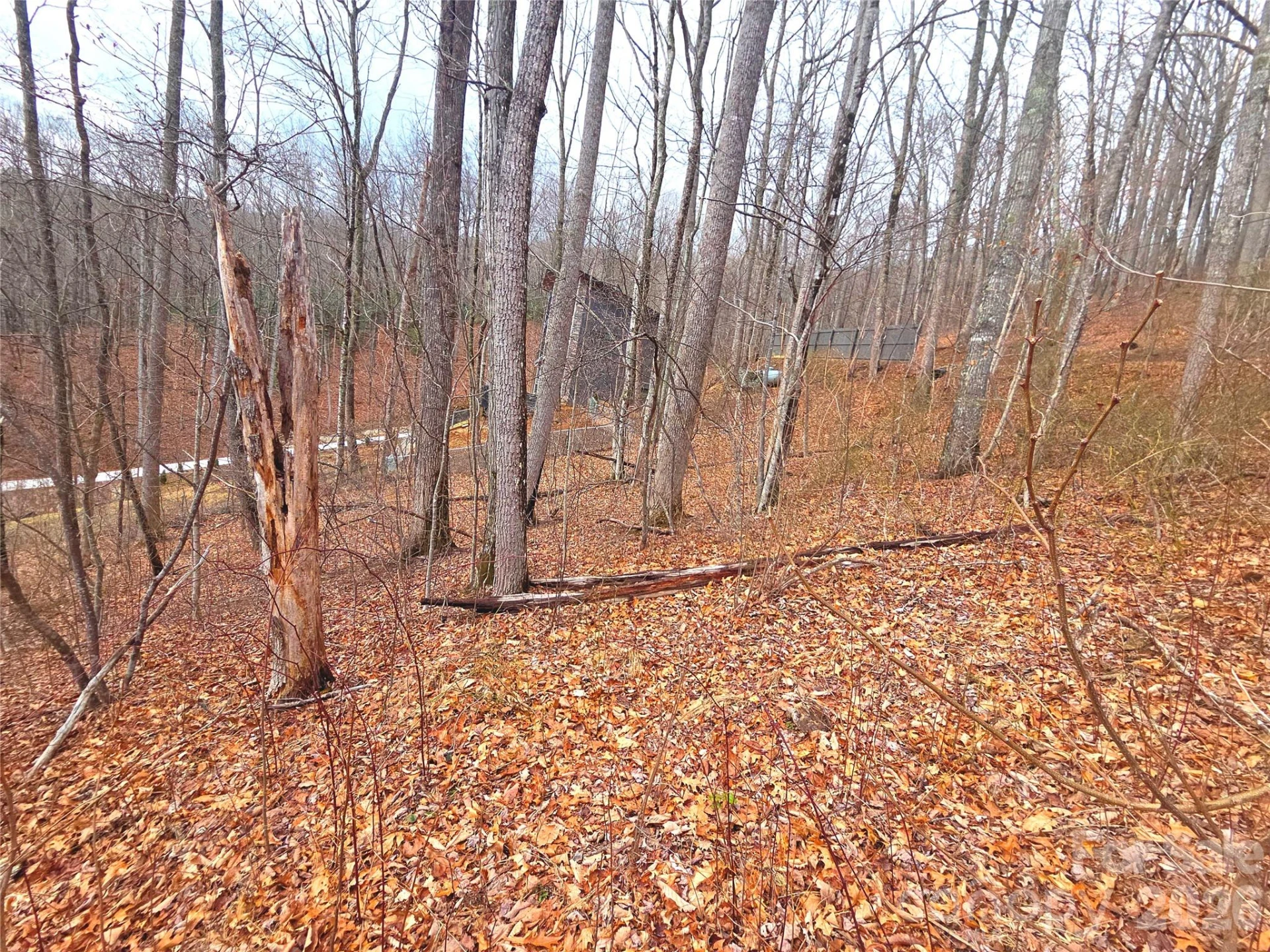 900 Fern Trail #31 - Photo 14