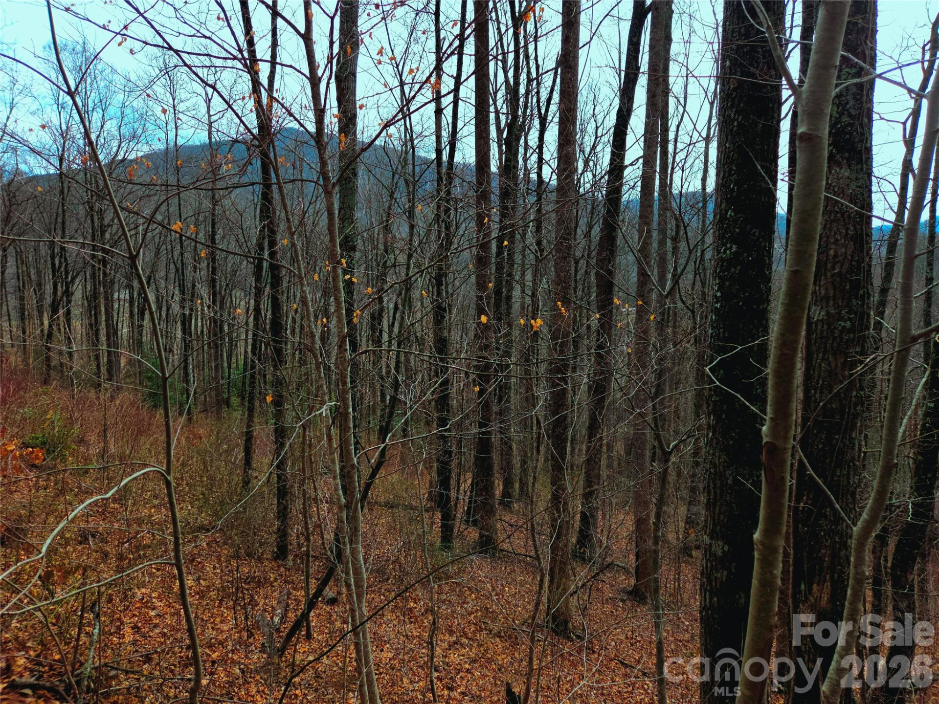 900 Fern Trail #31 - Photo 15