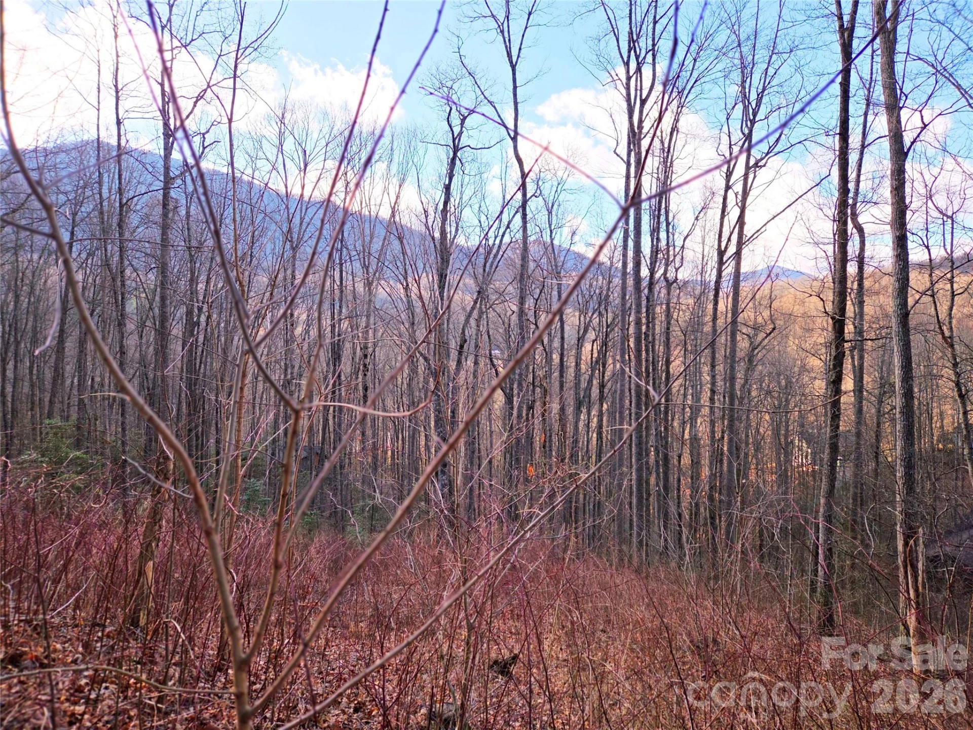 900 Fern Trail #31 - Photo 16