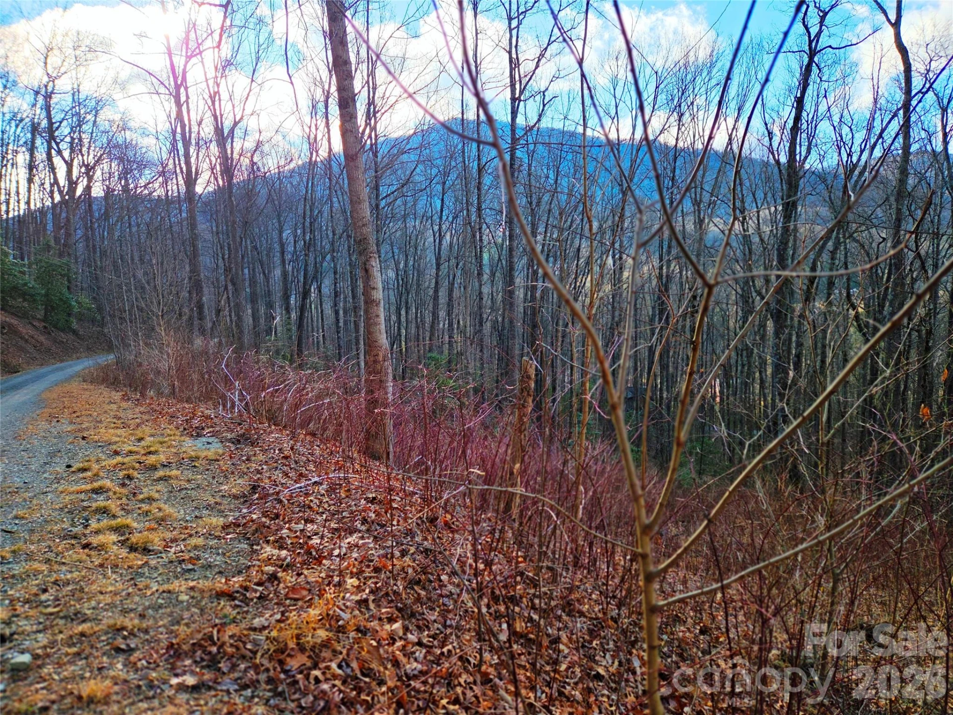 900 Fern Trail #31 - Photo 3