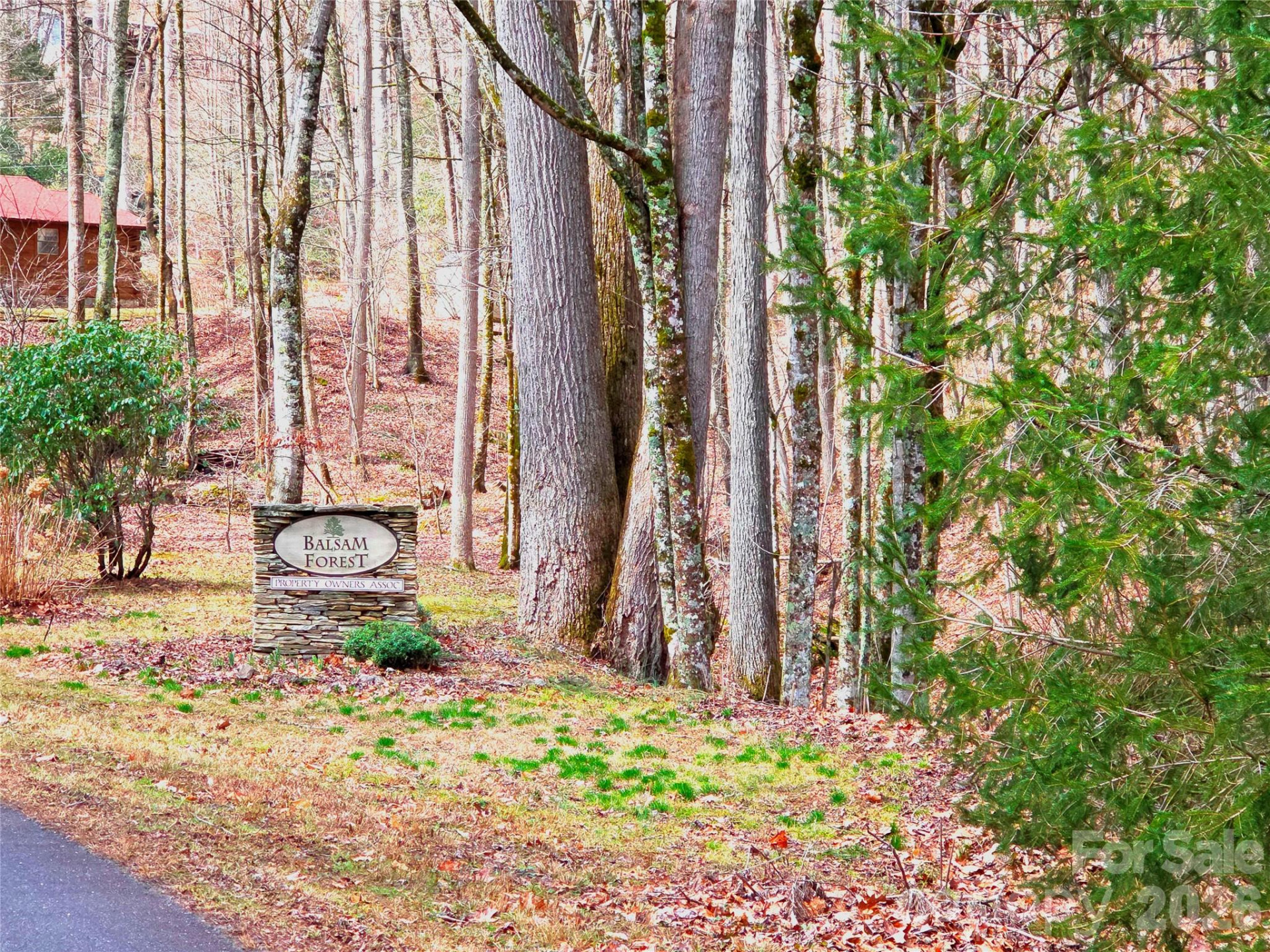 900 Fern Trail #31 - Photo 4