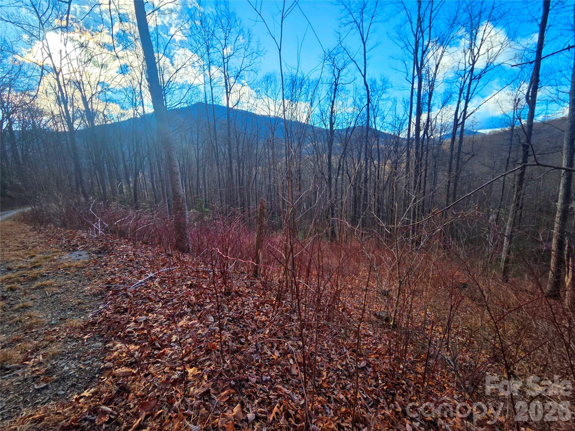 900 Fern Trail #31 - Photo 6