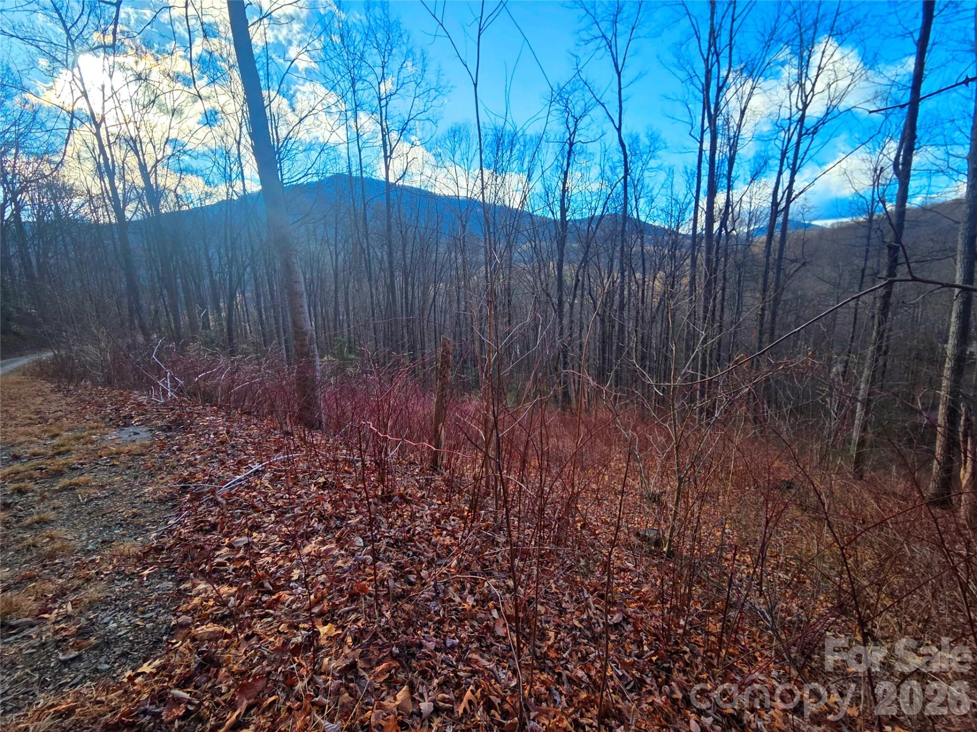 900 Fern Trail #31 - Photo 6