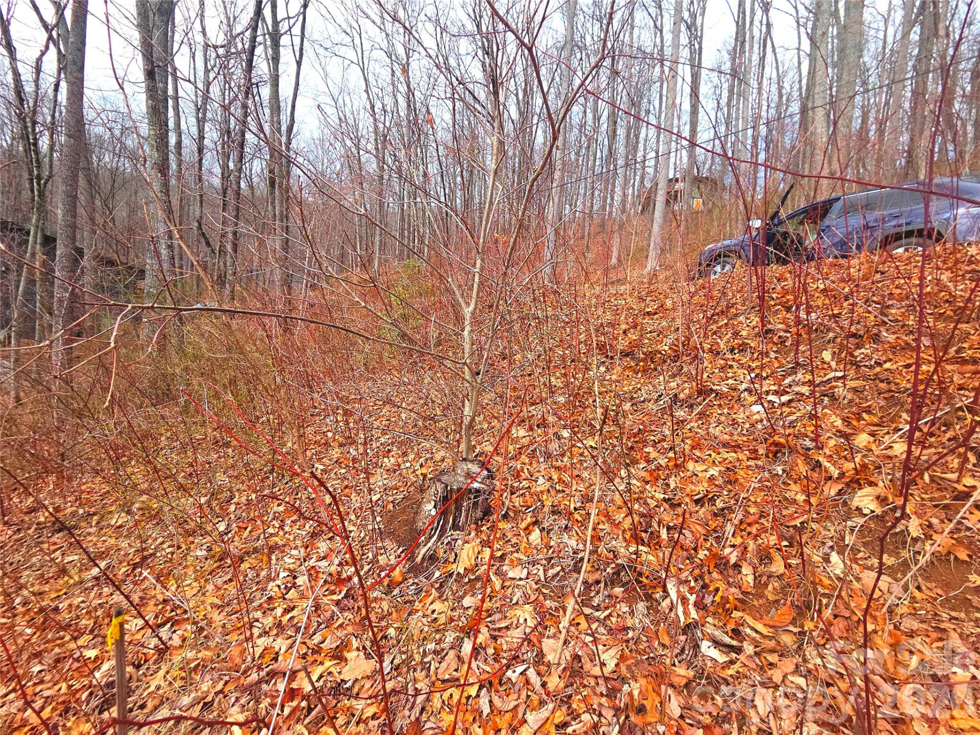 900 Fern Trail #31 - Photo 8