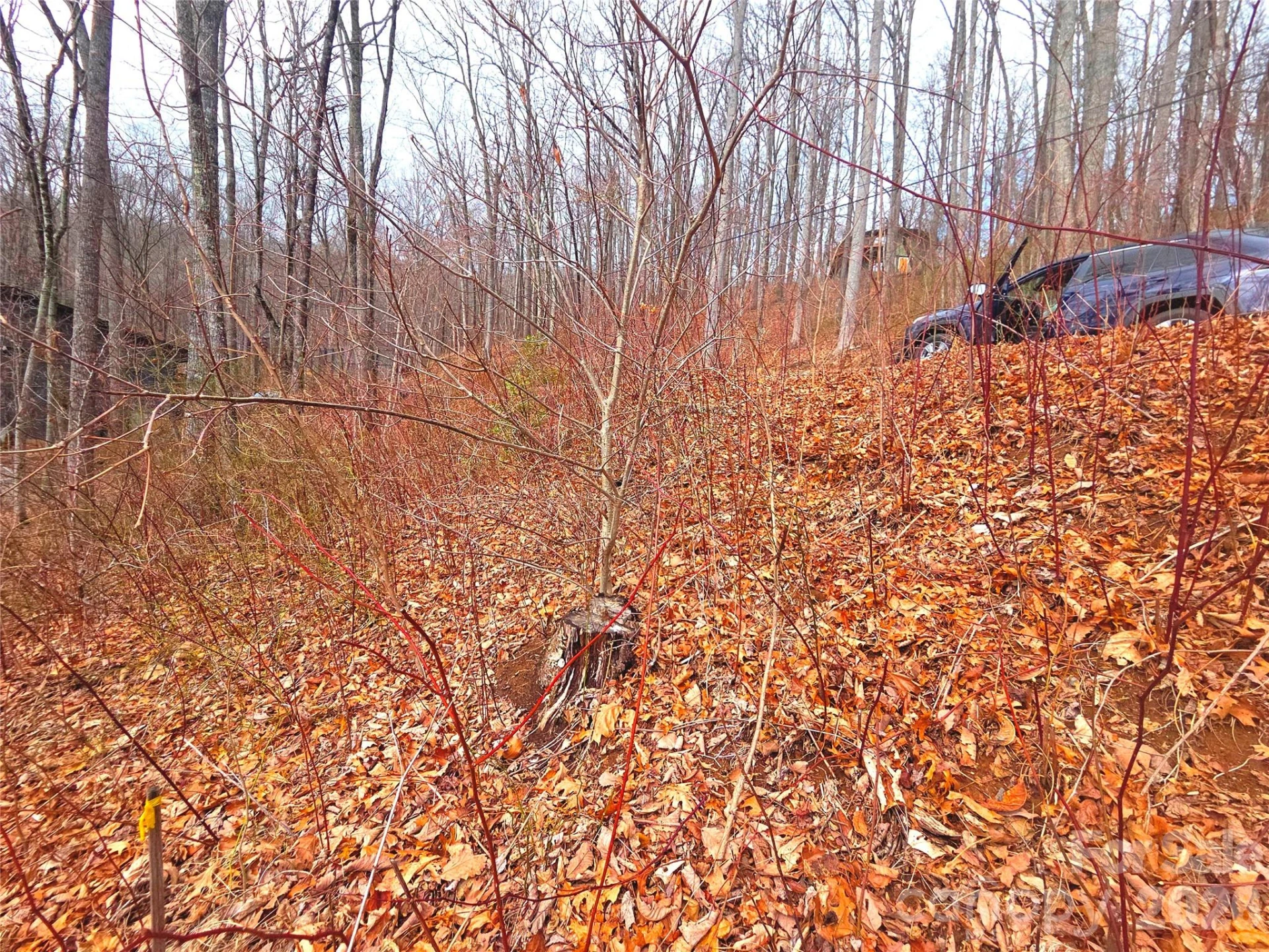 900 Fern Trail #31 - Photo 8