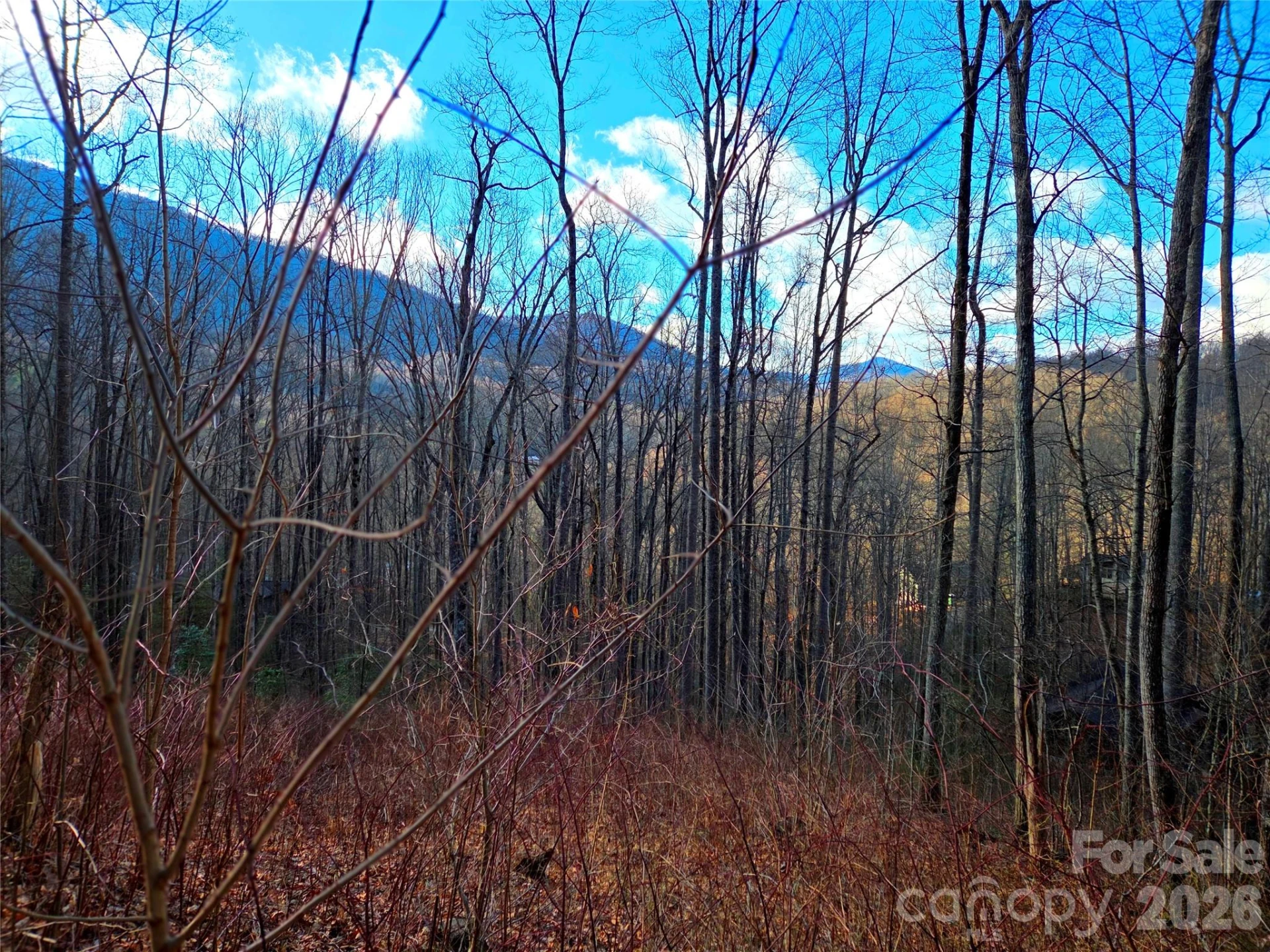 900 Fern Trail #31 - Photo 9
