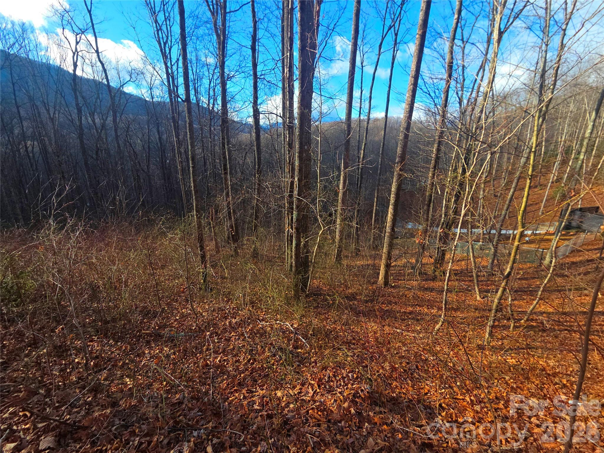900 Fern Trail #31 - Photo 10