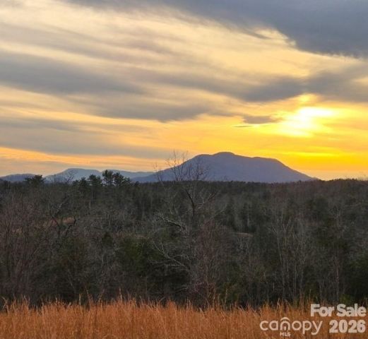 LOT #1 Price Summit Way, Mill Spring, NC, 28756