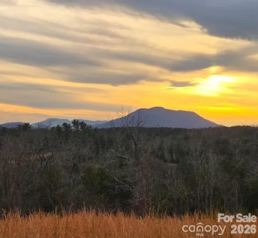 LOT #1 Price Summit Way, Mill Spring, NC, 28756