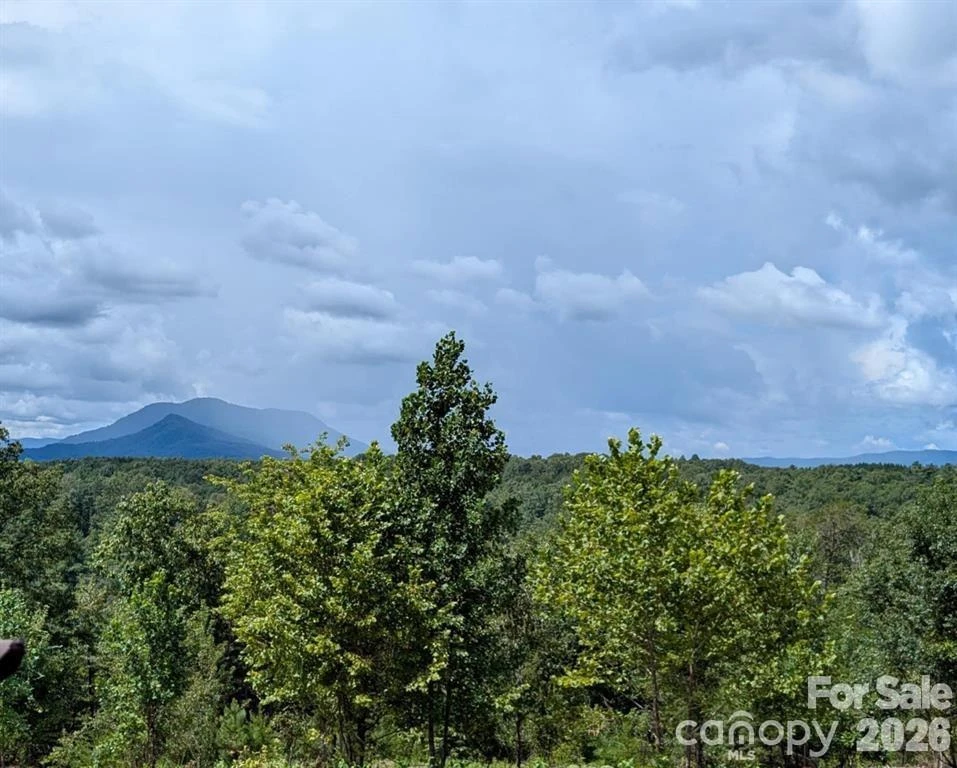 LOT #1 Price Summit Way - Photo 2