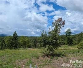 LOT #1 Price Summit Way - Photo 3
