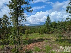 LOT #1 Price Summit Way - Photo 4