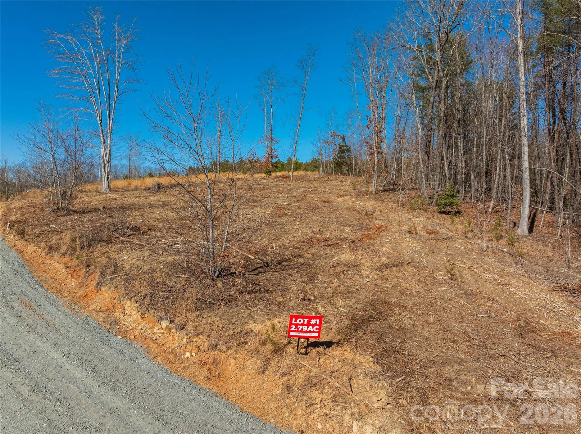 LOT #1 Price Summit Way - Photo 5