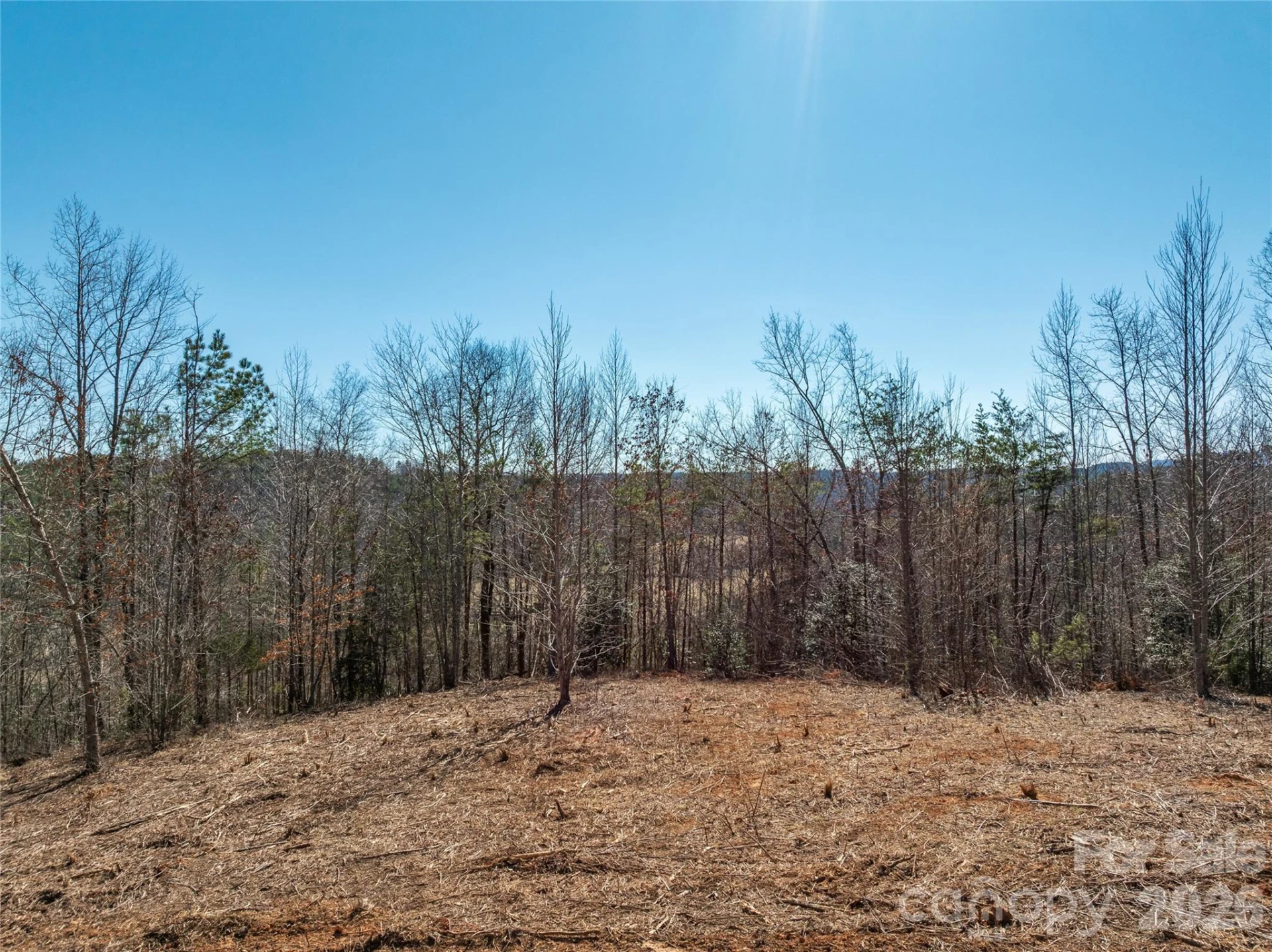 LOT #1 Price Summit Way - Photo 7