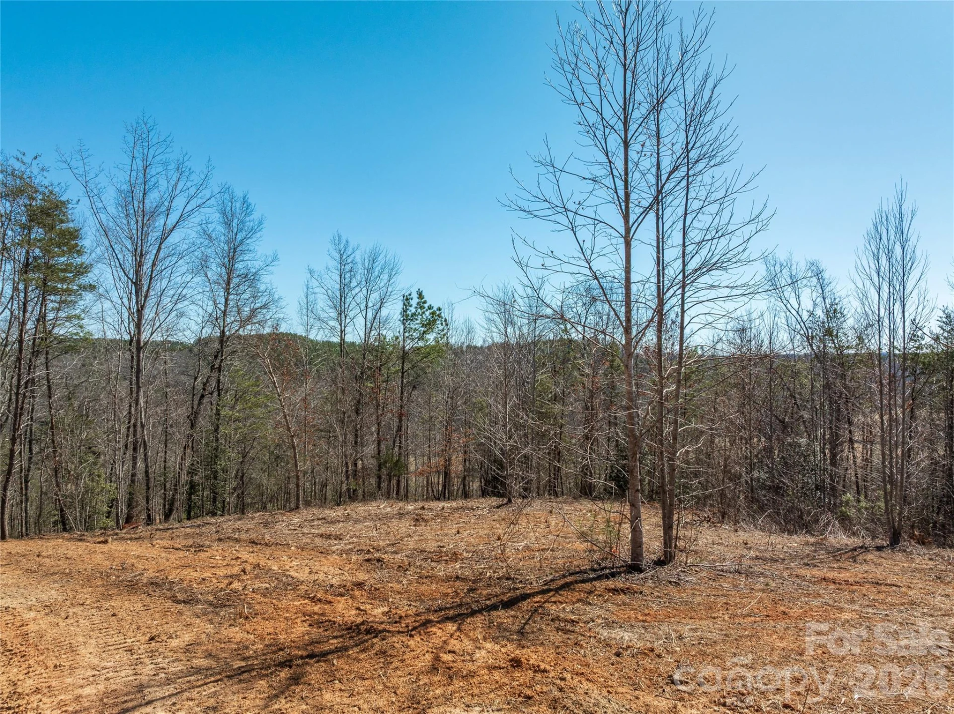 LOT #1 Price Summit Way - Photo 8