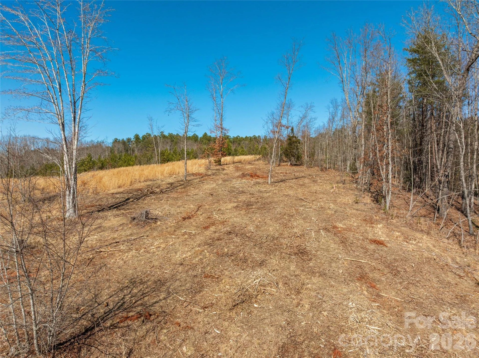 LOT #1 Price Summit Way - Photo 9