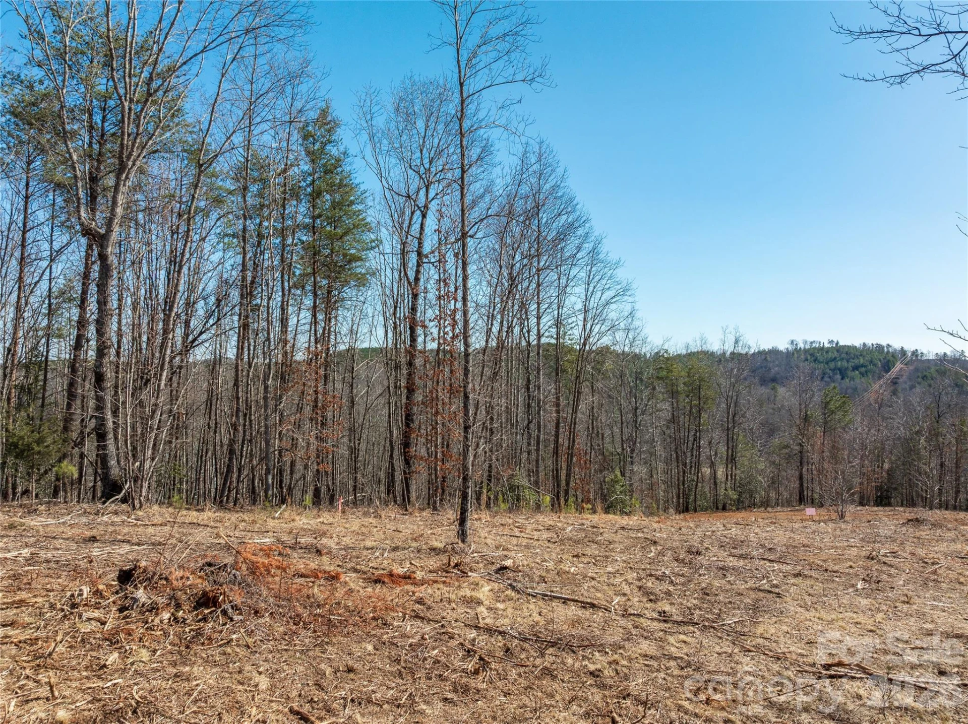 LOT #1 Price Summit Way - Photo 10