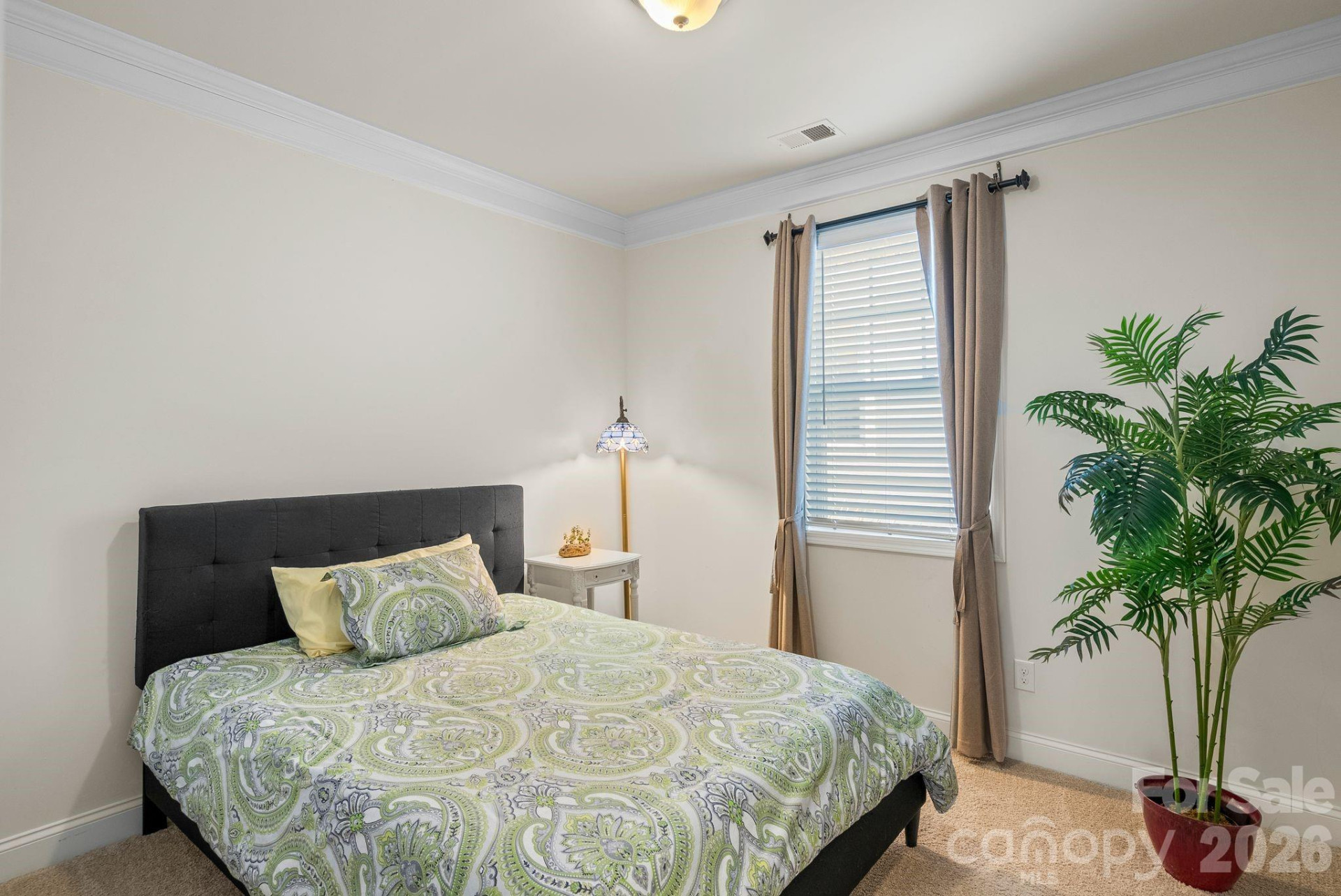 16 Regent Heights Road - Photo 13