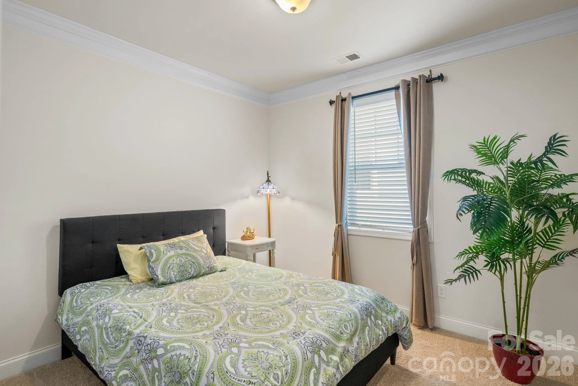 16 Regent Heights Road - Photo 13