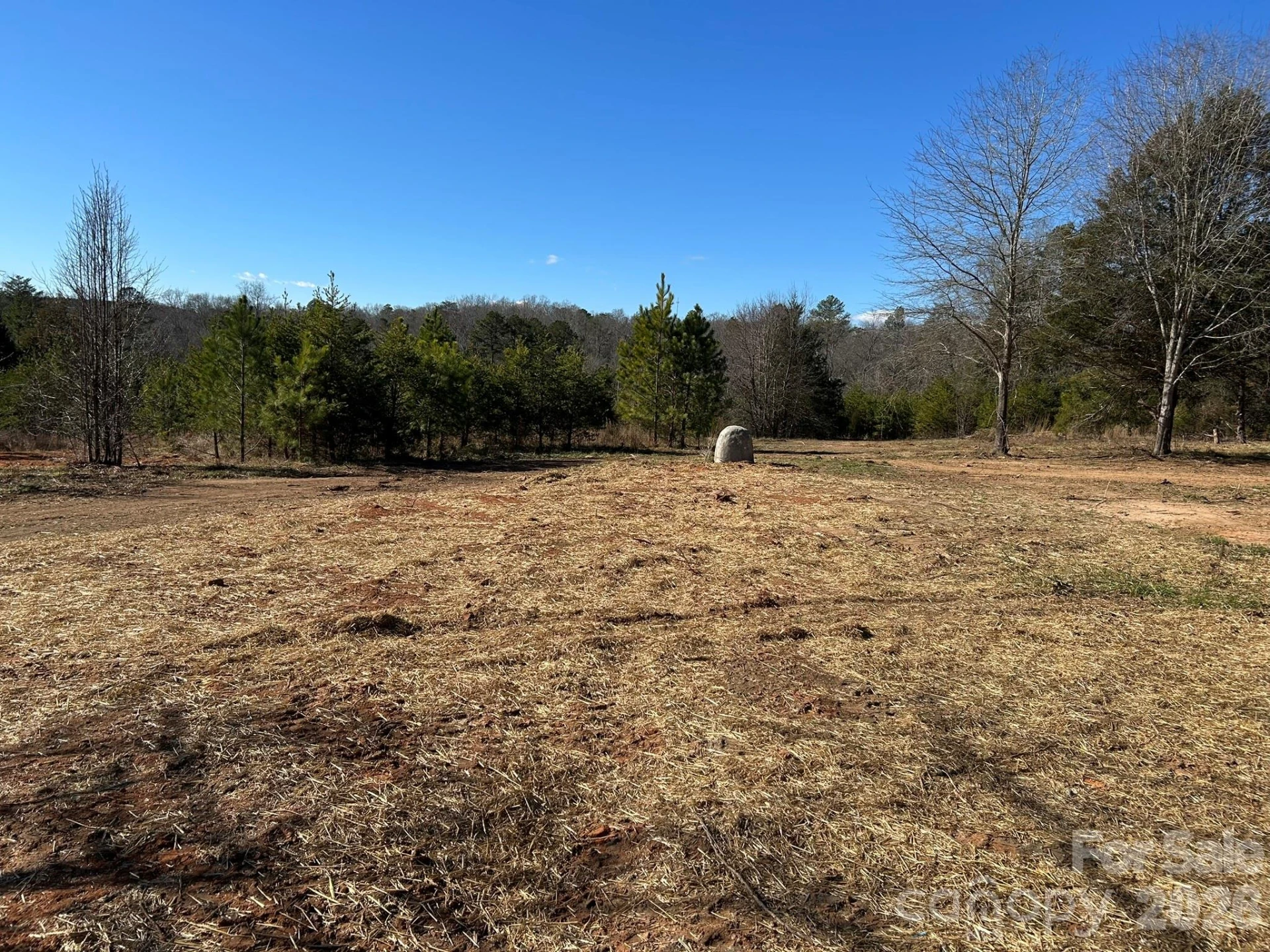 464 Hamrick Road - Photo 10