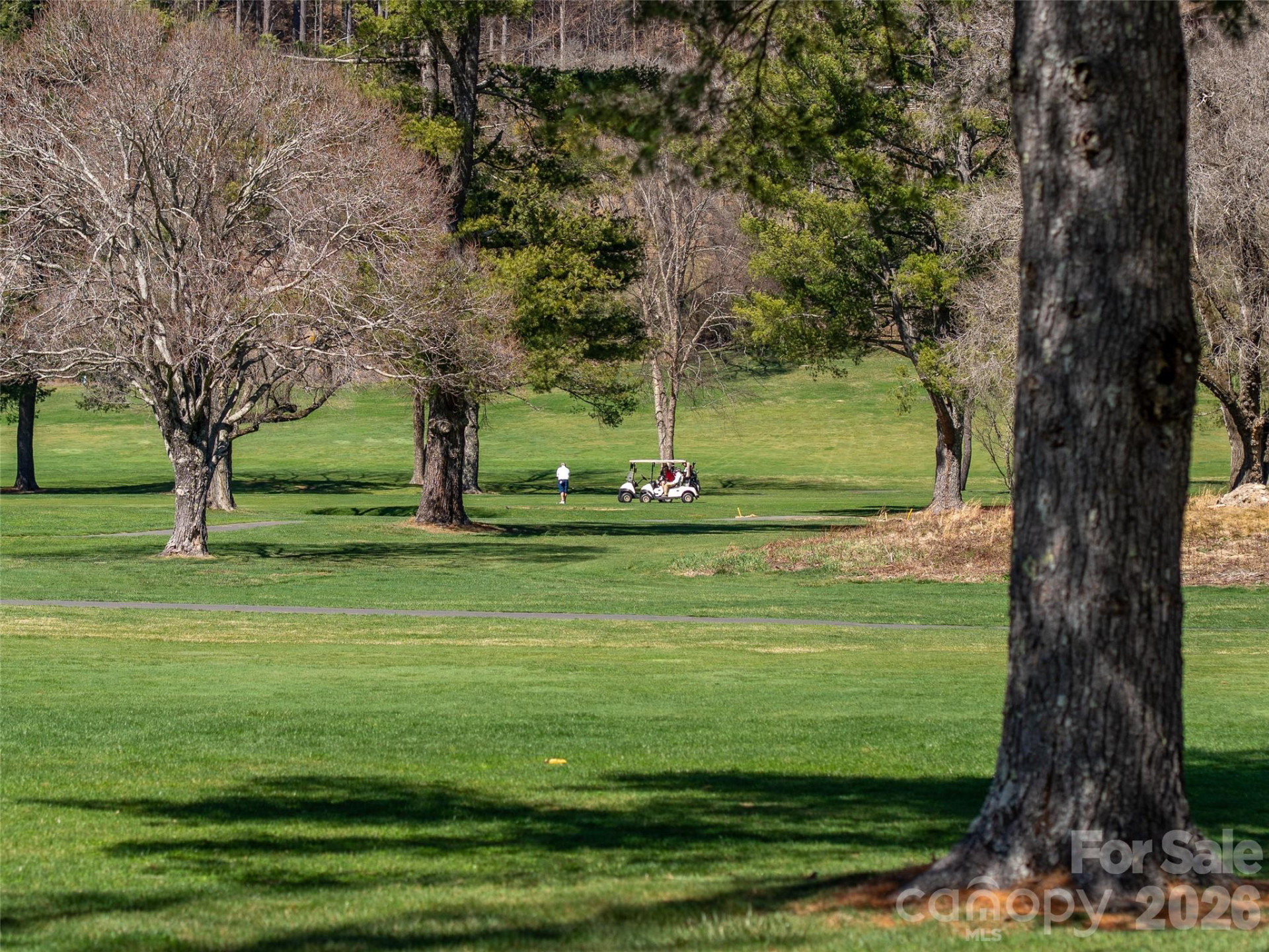 174 Pleasant Ridge - Photo 45