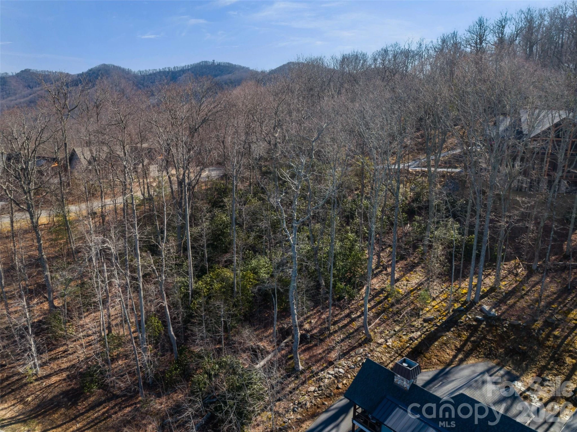 5 Crockett Ridge Road #179 - Photo 19
