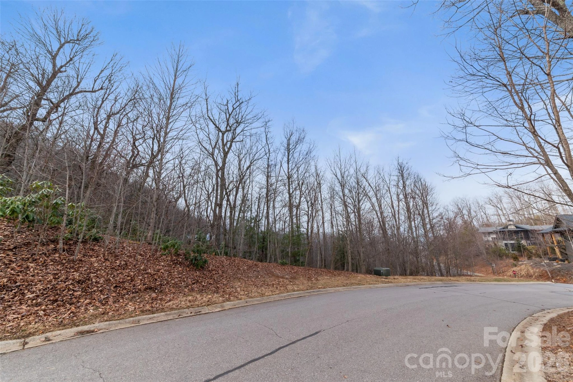 5 Crockett Ridge Road #179 - Photo 6