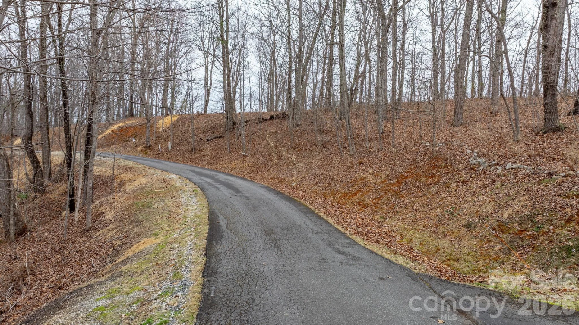 0 Mountain Crest Drive #40 - Photo 2