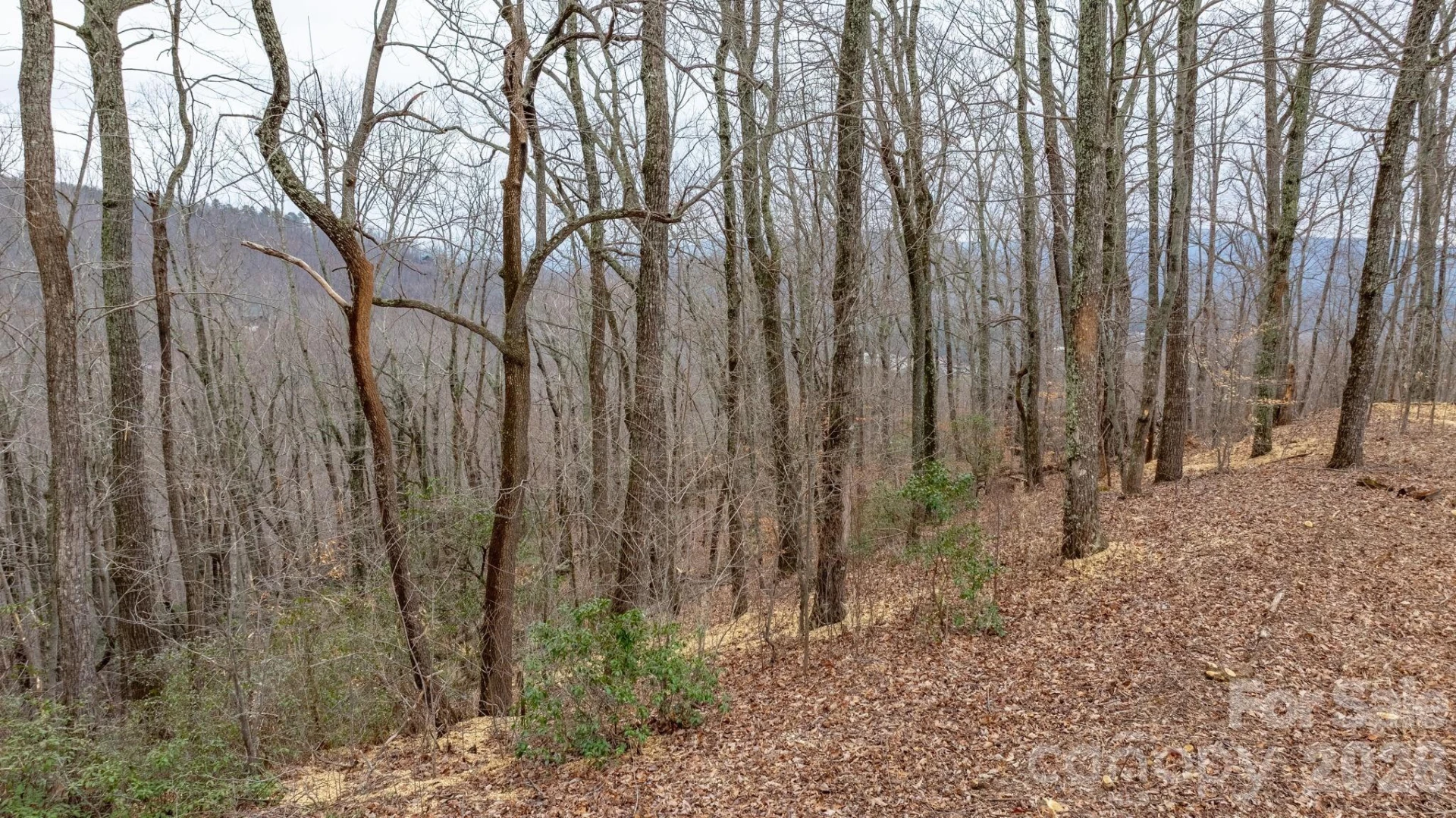 0 Mountain Crest Drive #40 - Photo 11