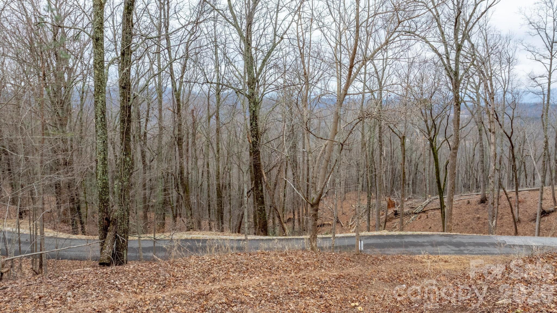 0 Mountain Crest Drive #40 - Photo 12