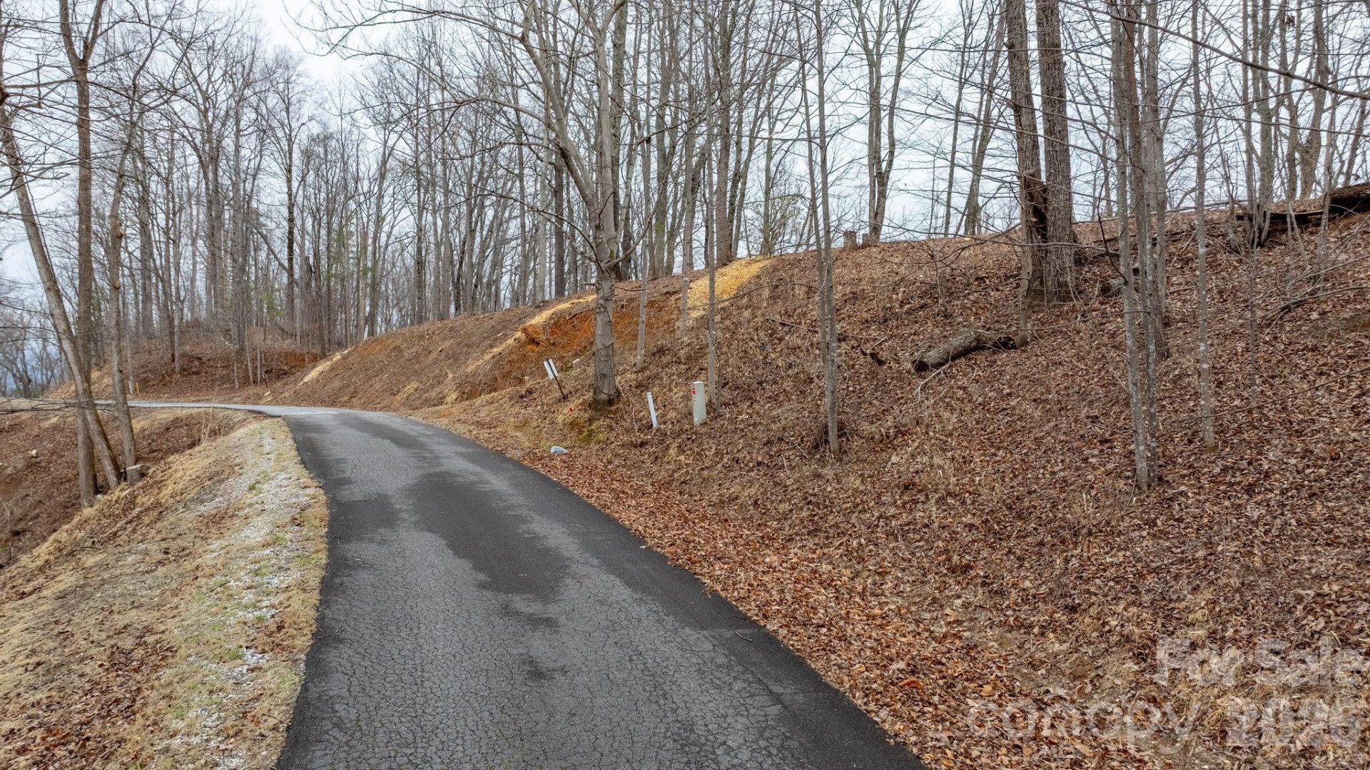 0 Mountain Crest Drive #40 - Photo 4