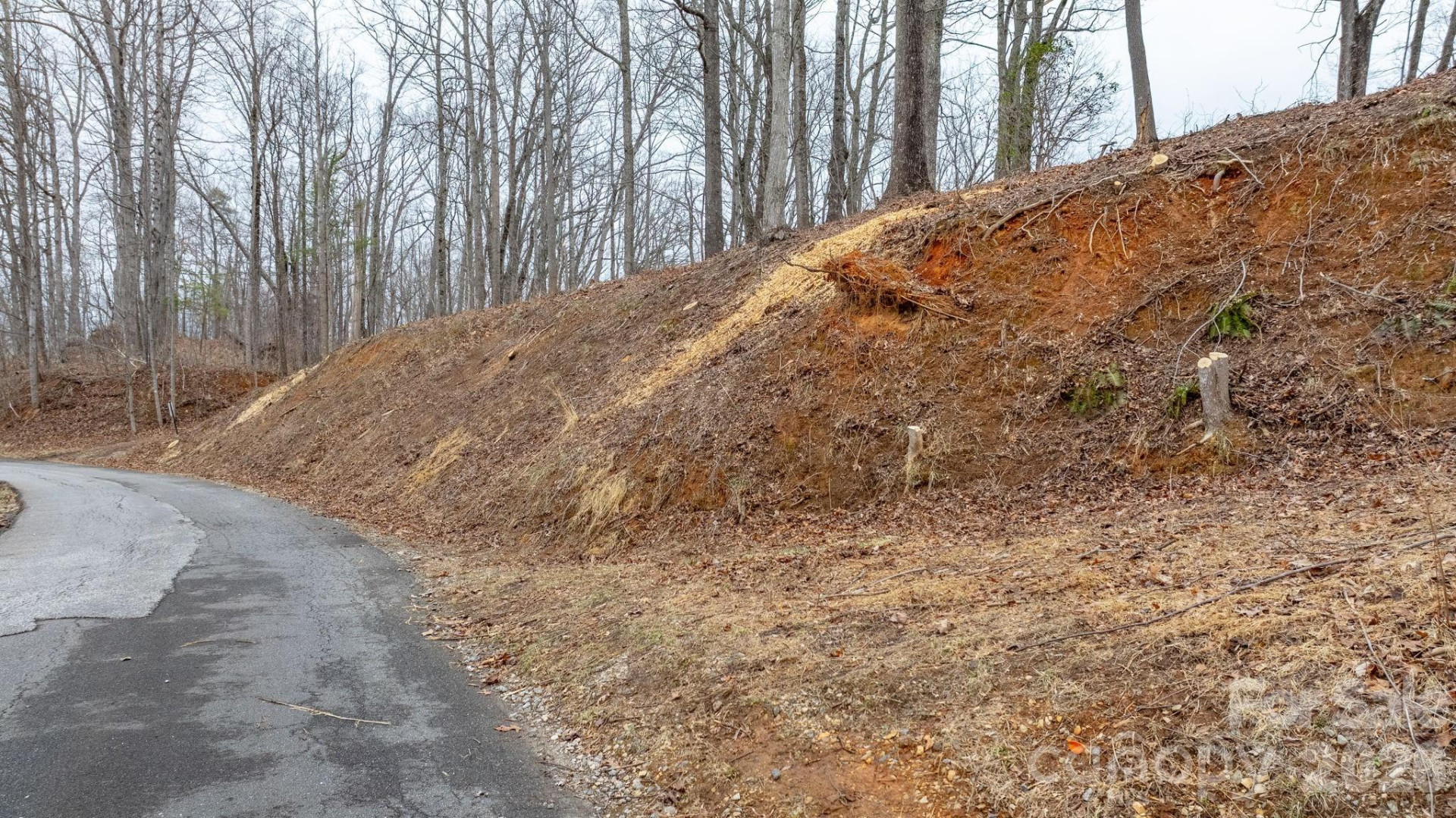 0 Mountain Crest Drive #40 - Photo 5