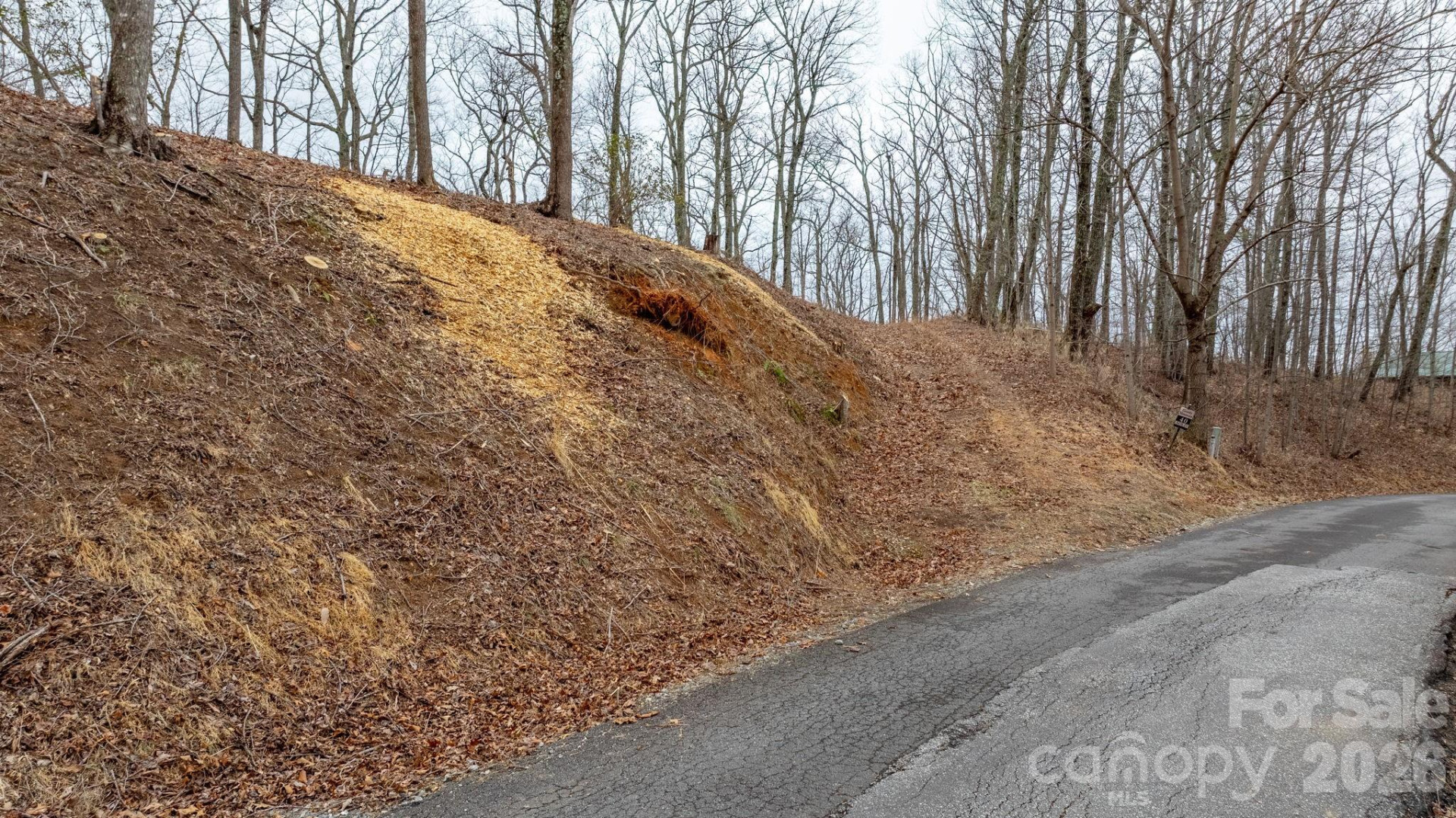 0 Mountain Crest Drive #40 - Photo 6