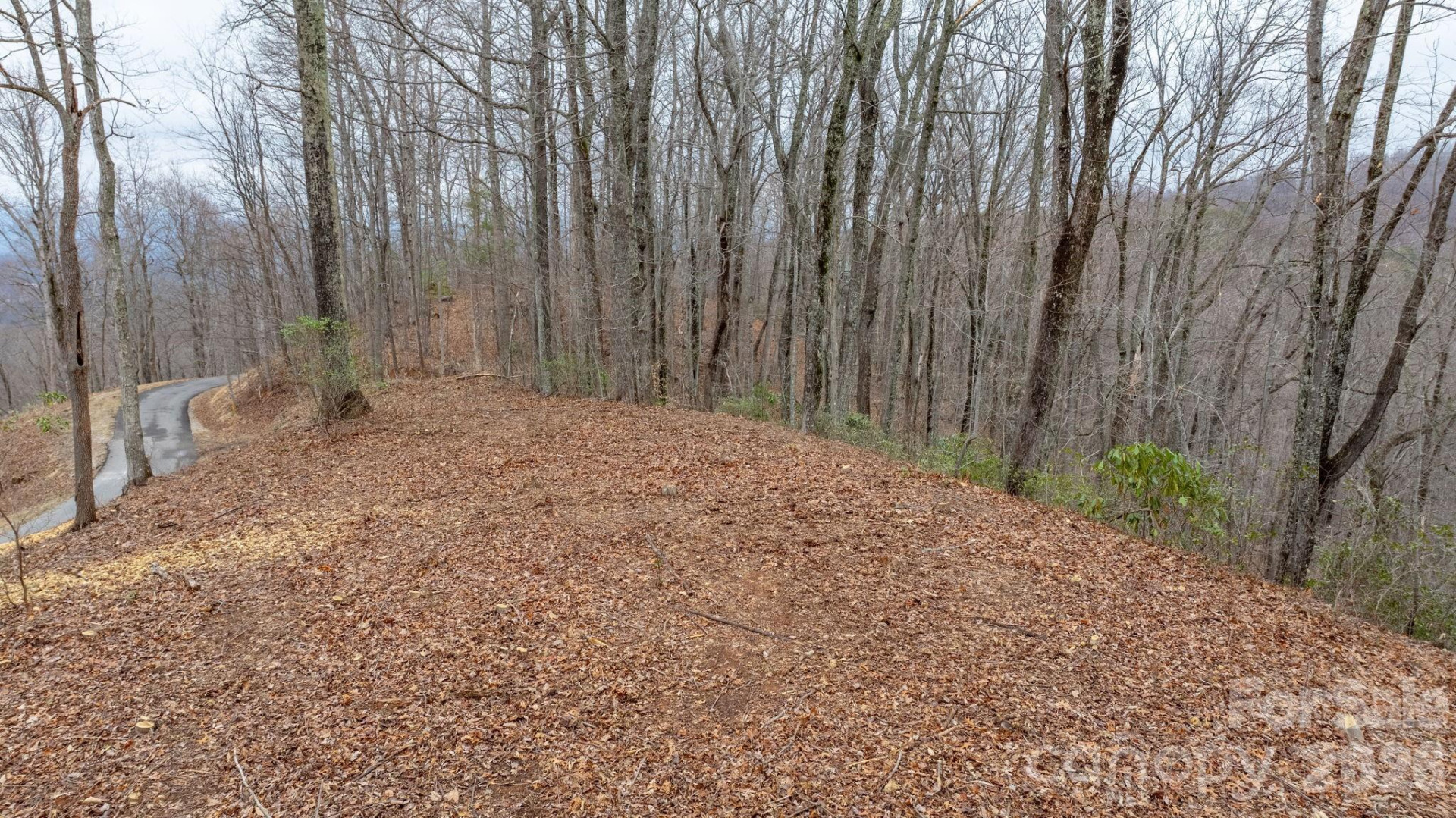 0 Mountain Crest Drive #40 - Photo 9