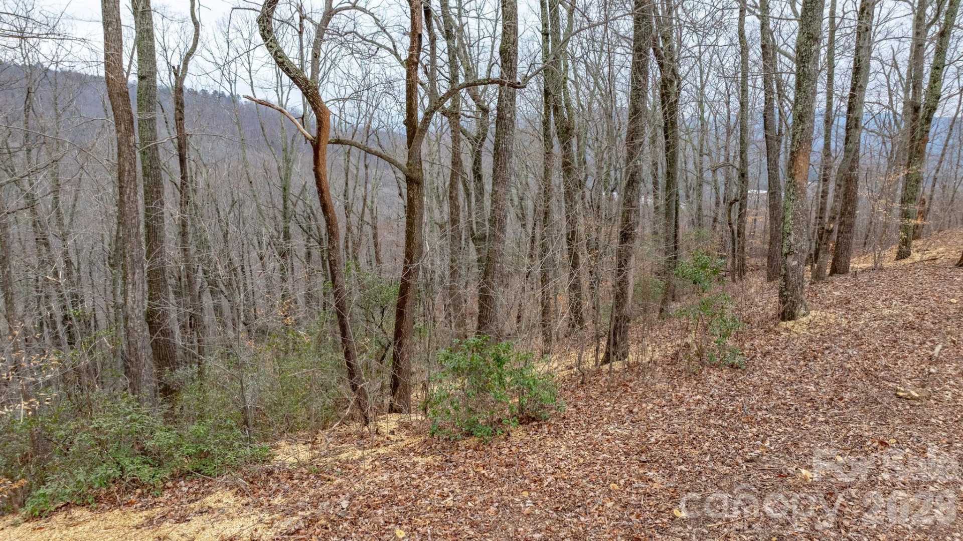 0 Mountain Crest Drive #40 - Photo 10