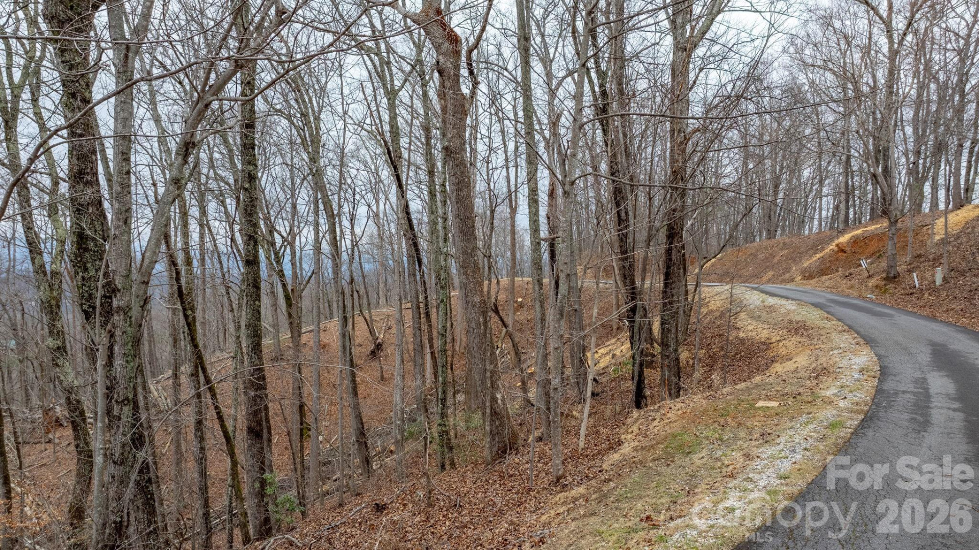 0 Mountain Crest Drive #39 - Photo 2