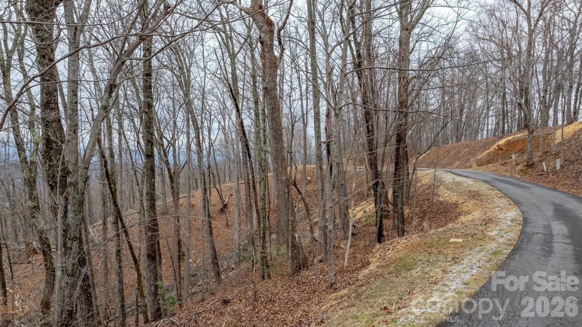 0 Mountain Crest Drive #39 - Photo 2