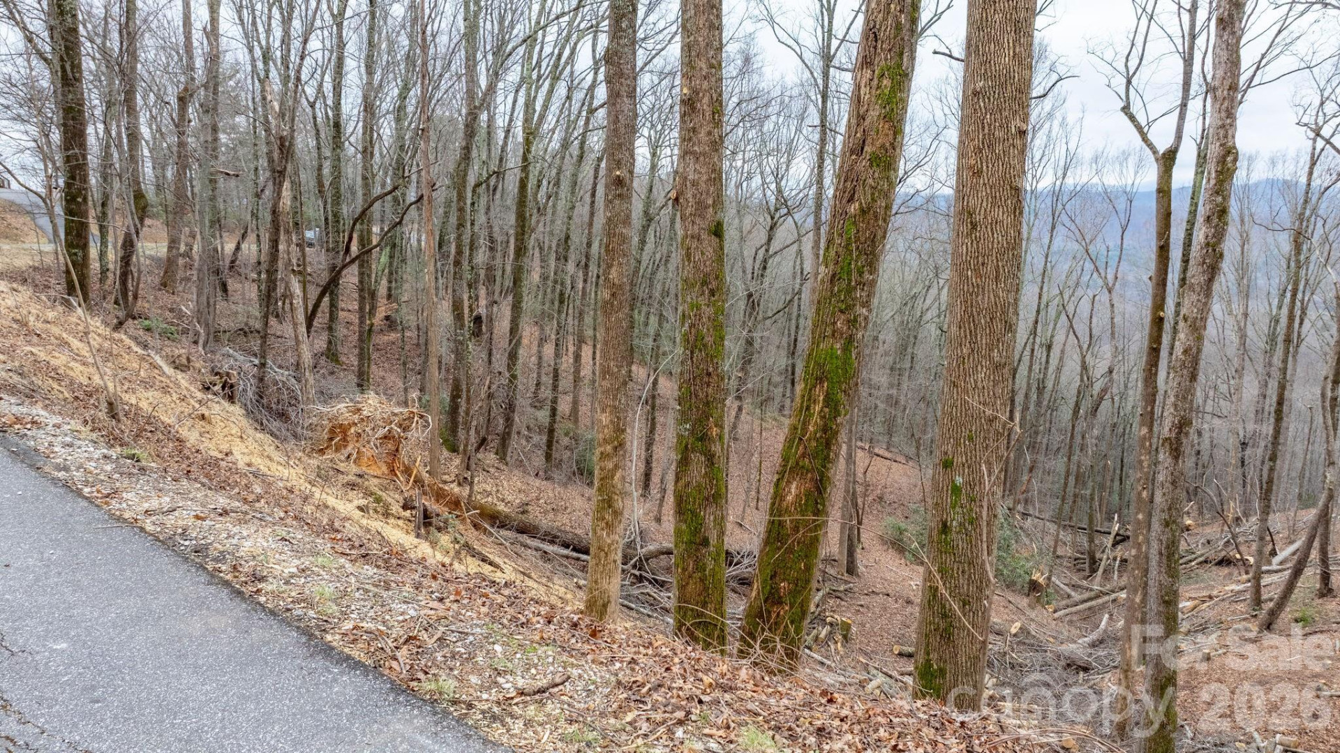 0 Mountain Crest Drive #39 - Photo 11